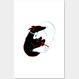 Yin Yang Greyhounds Posters and Art